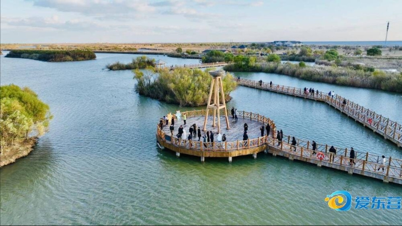 于国际赛场 于国际赛场